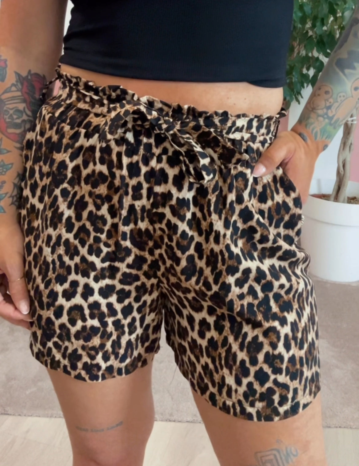 Short maculato